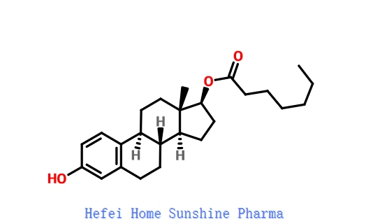 Oestradiol 17-heptanoate CAS 4956-37-0