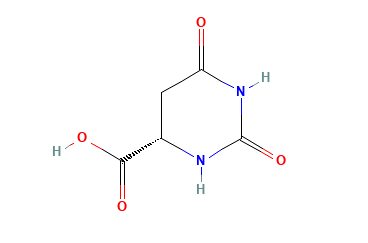 L-4,5-dihydroorotic asid CAS 5988-19-2